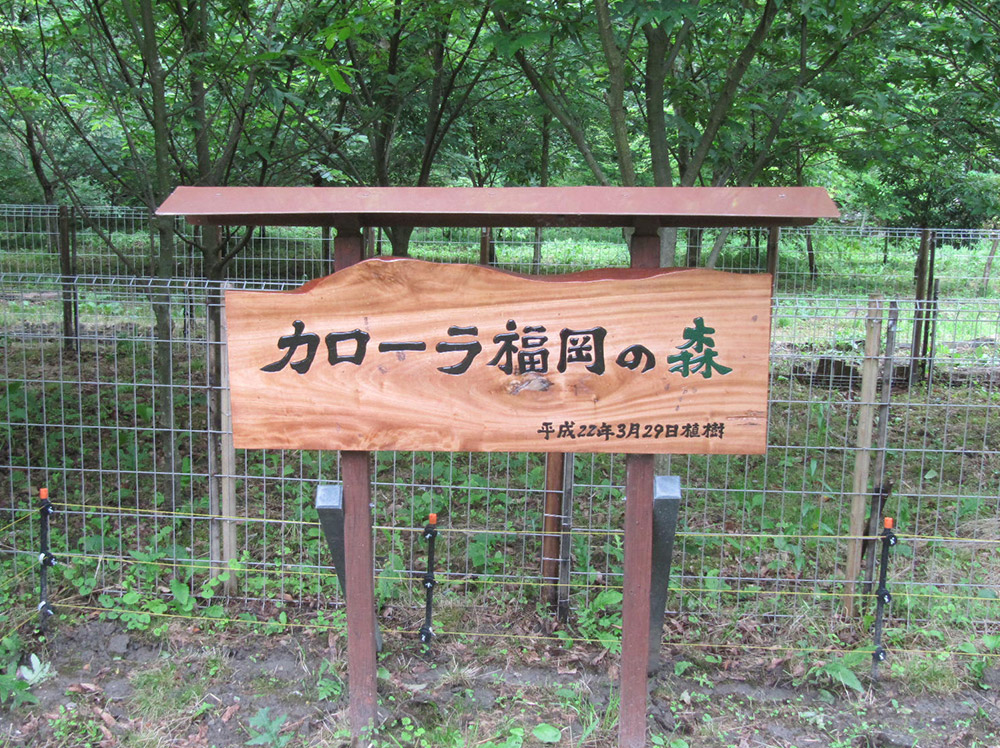 環境写真